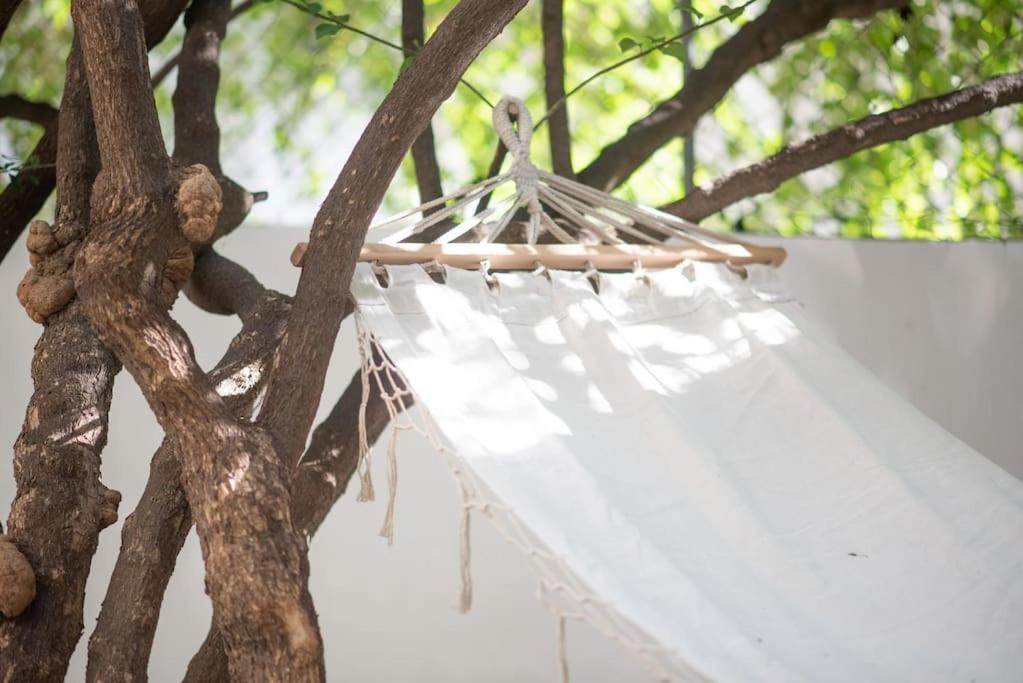 Luxury Studio With Garden Next To Acropolis Athen Exterior foto