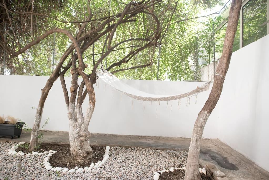 Luxury Studio With Garden Next To Acropolis Athen Exterior foto